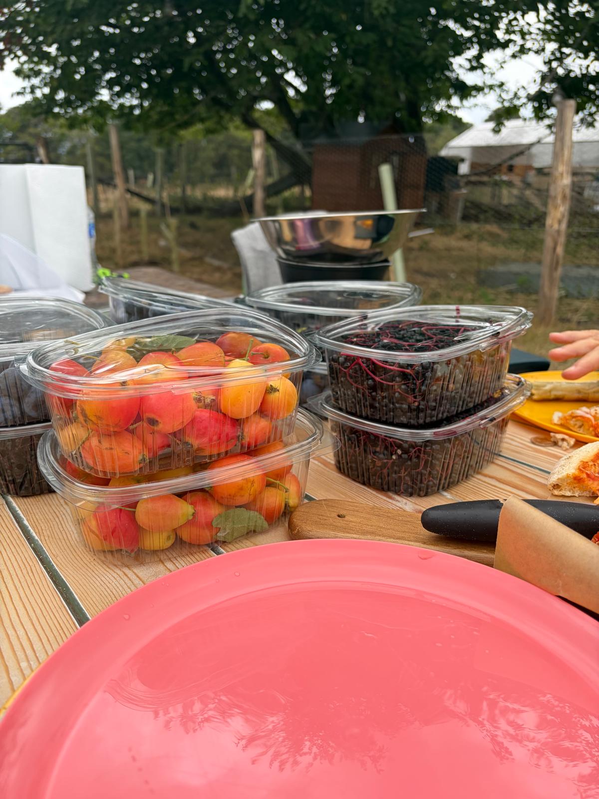 Fresh fruit and berries on the table